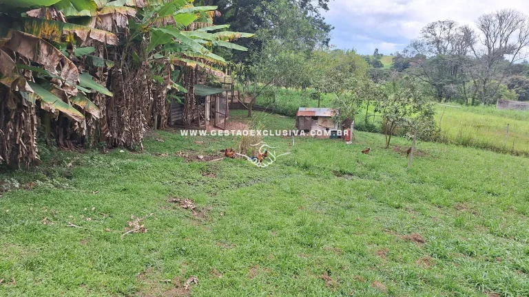 Imagem Sítio 20mil m² Documentado 4 Lagos Pomar Formado Morungaba/SP