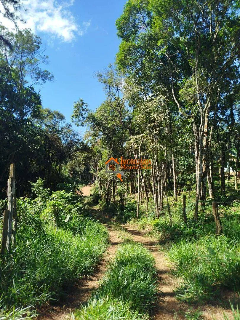 Imagem Terreno à venda, 3.068m² por R$ 212.000 - Parque Santos Dumont - Guarulhos/SP