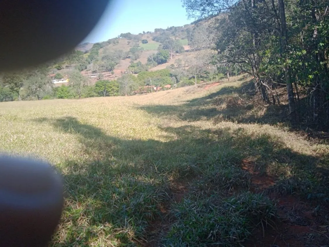 Imagem Venda de Fazenda em Crucilândia 48 hectares de terra