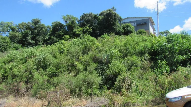 Imagem Terreno para Venda em Concórdia, Primavera