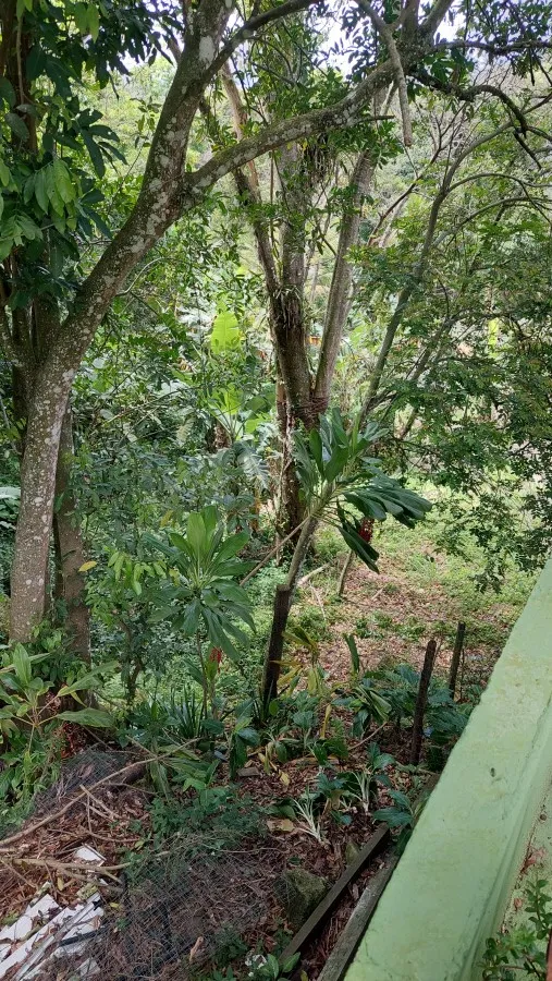 Imagem Casa para Locação em Rio de Janeiro, Vargem Grande, 2 dormitórios, 1 suíte, 2 banheiros, 2 vagas