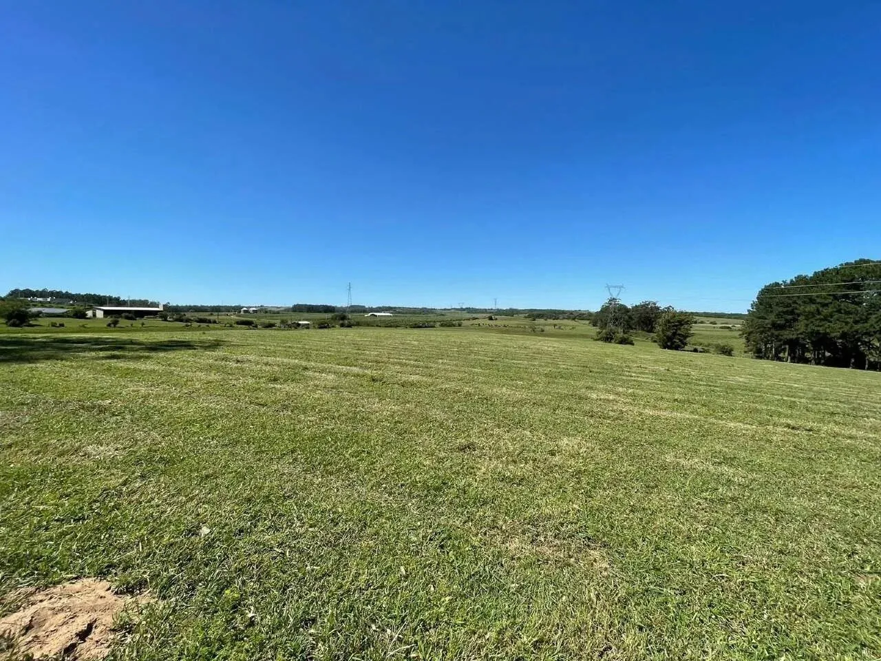 Imagem 90 Hectares de frente para o asfalto em Viamão