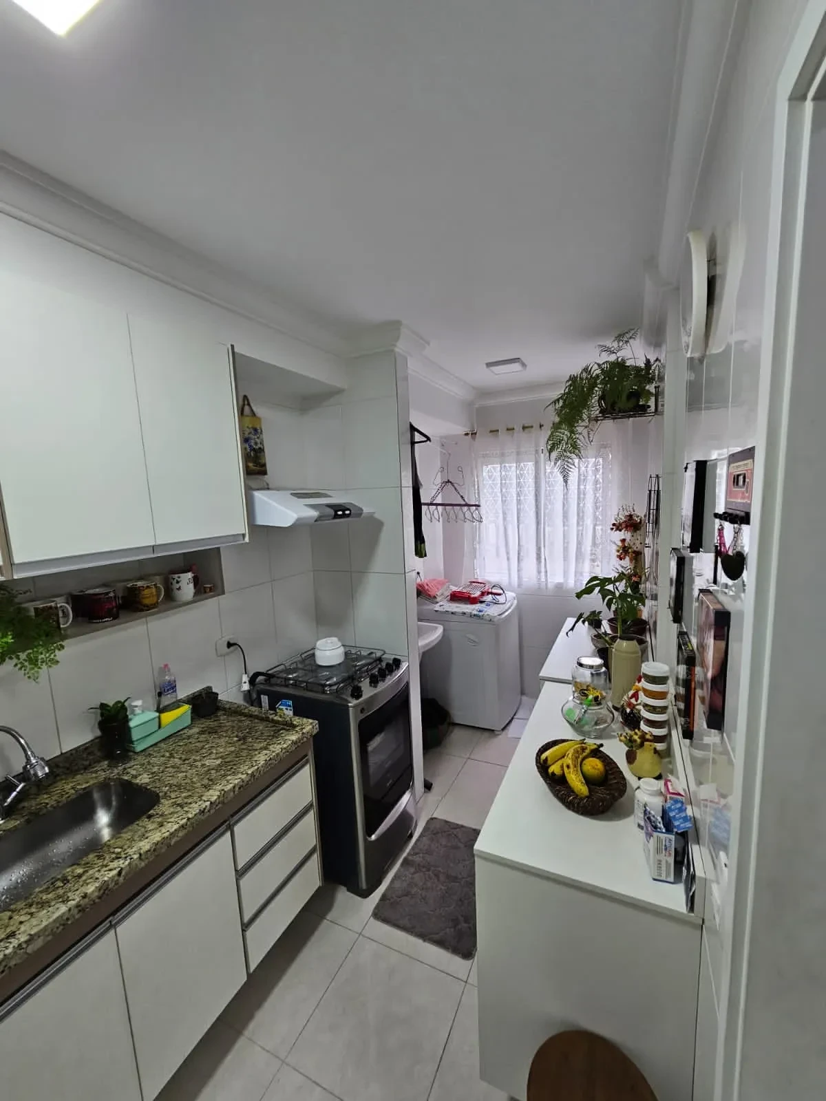 Imagem Apartamento com 2 Quartos à Venda, 52 m² em Vila Falchi - Mauá