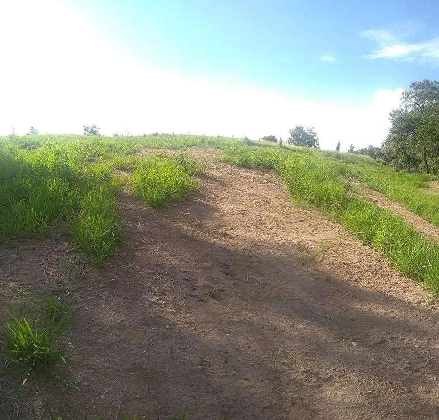 Imagem Excelente Lote Residencial em Vinhedo