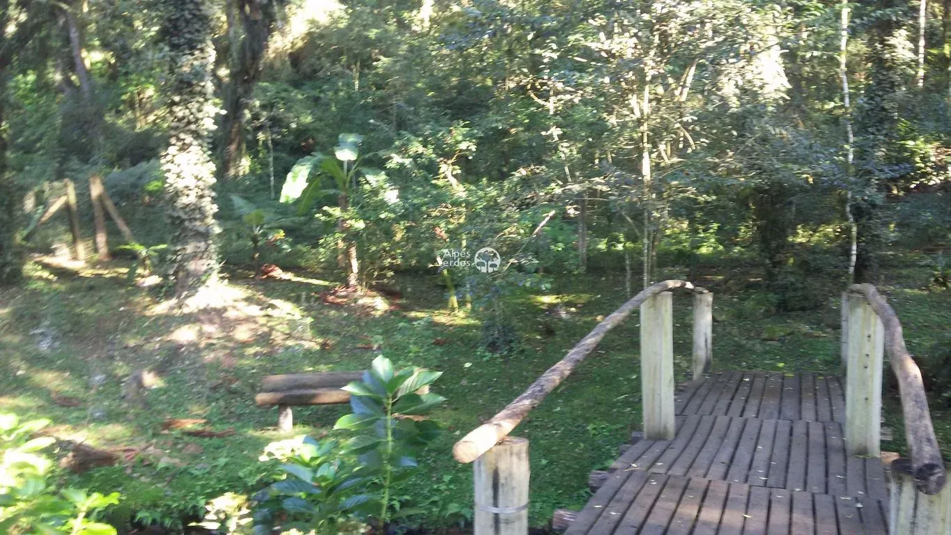 Imagem Casa com 3 dormitórios à venda em São Francisco de Paula/RS