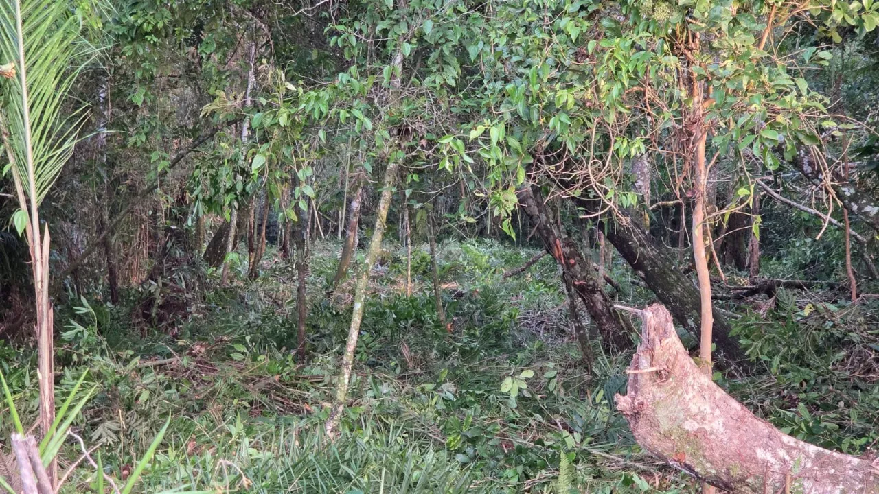 Imagem Exclusivo Mova
Terreno com área total de 642 m², localizado na Rua 2020, nº 971, bairro Continent...