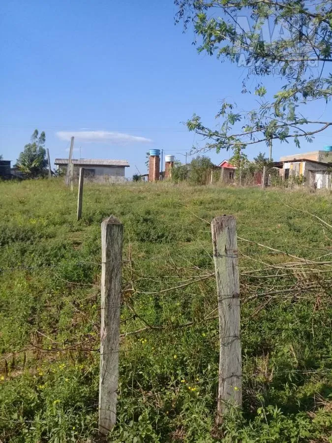 Imagem Terreno para Venda no bairro Vila Palmeira em Santo Antônio da Patrulha/RS.