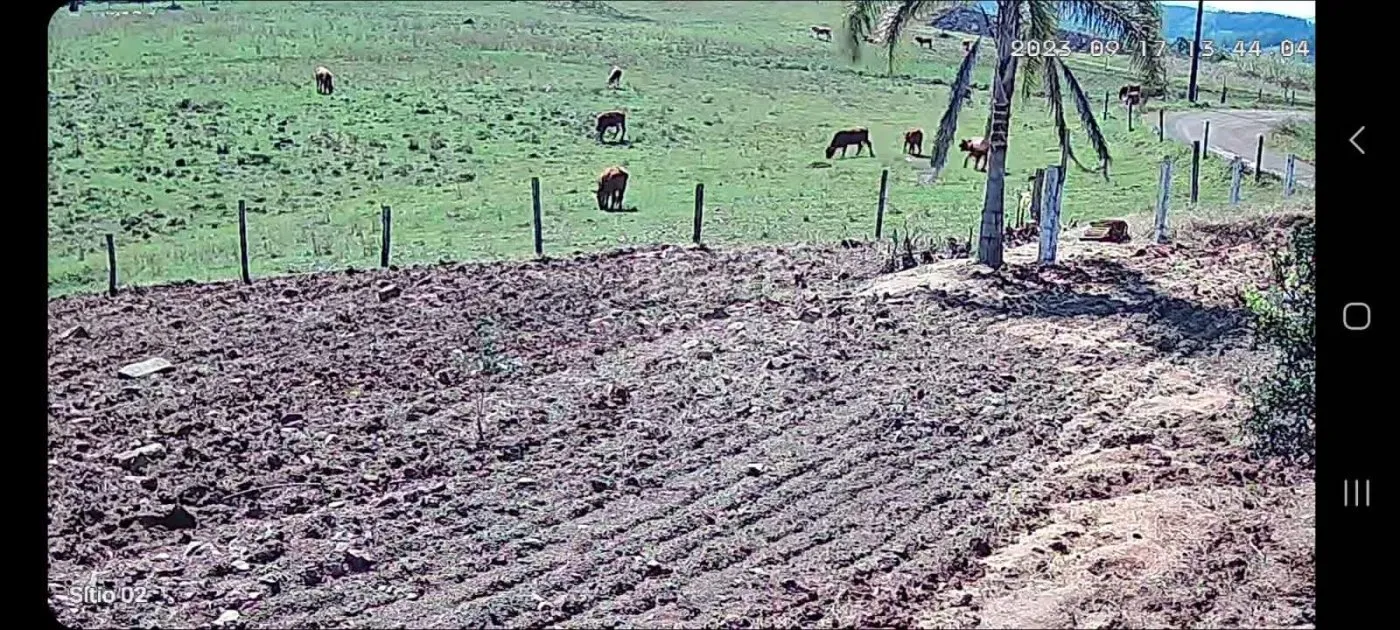 Imagem Chácara para Venda em Passo dos Ramos, Santo Antônio da Patrulha/RS.