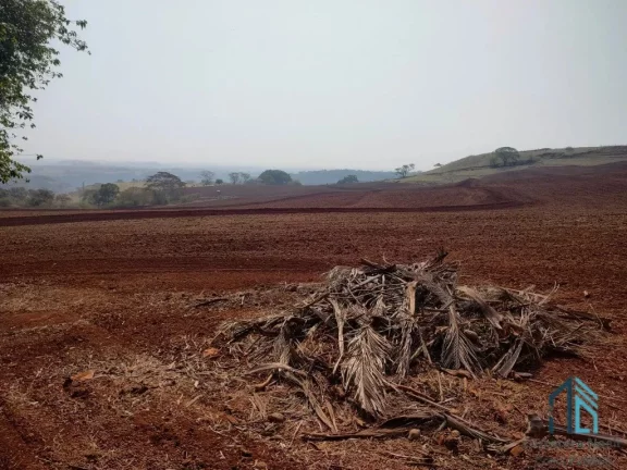 Imagem Sítio 30 alqueires extra imperdível - Oportunidade Única! em Cornélio Procópio PR