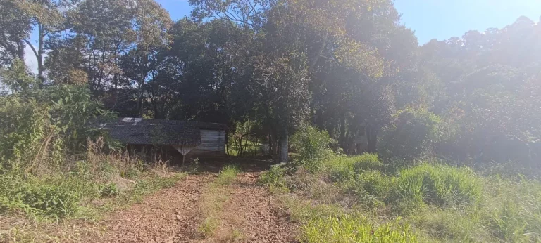 Imagem Área Agrícola para Venda em Arabuta, Sc-154