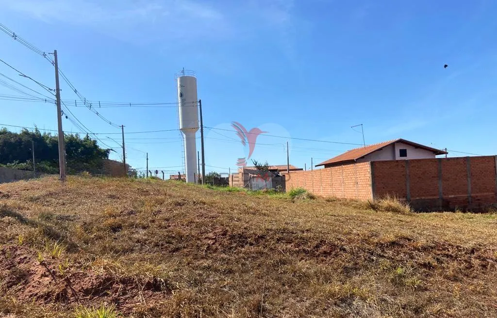 Imagem Antonio Lopes