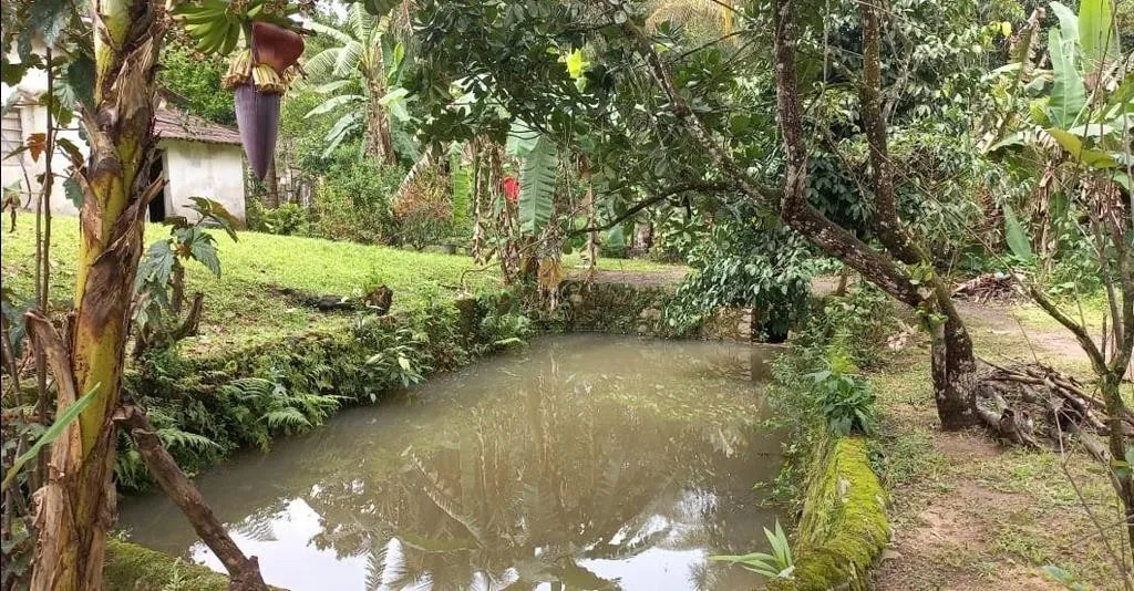 Imagem Sítio para Venda em Guapimirim / RJ no bairro Parada Modelo