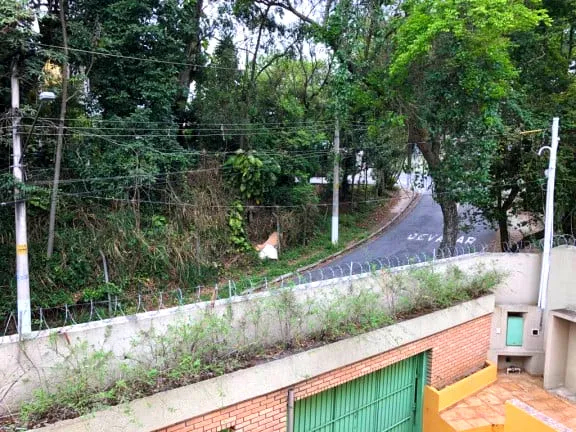 Imagem Sobrado com 3 Quartos à Venda, 345 m² em Jardim Peri Peri - São Paulo
