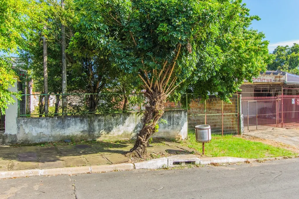 Imagem Terreno em São José