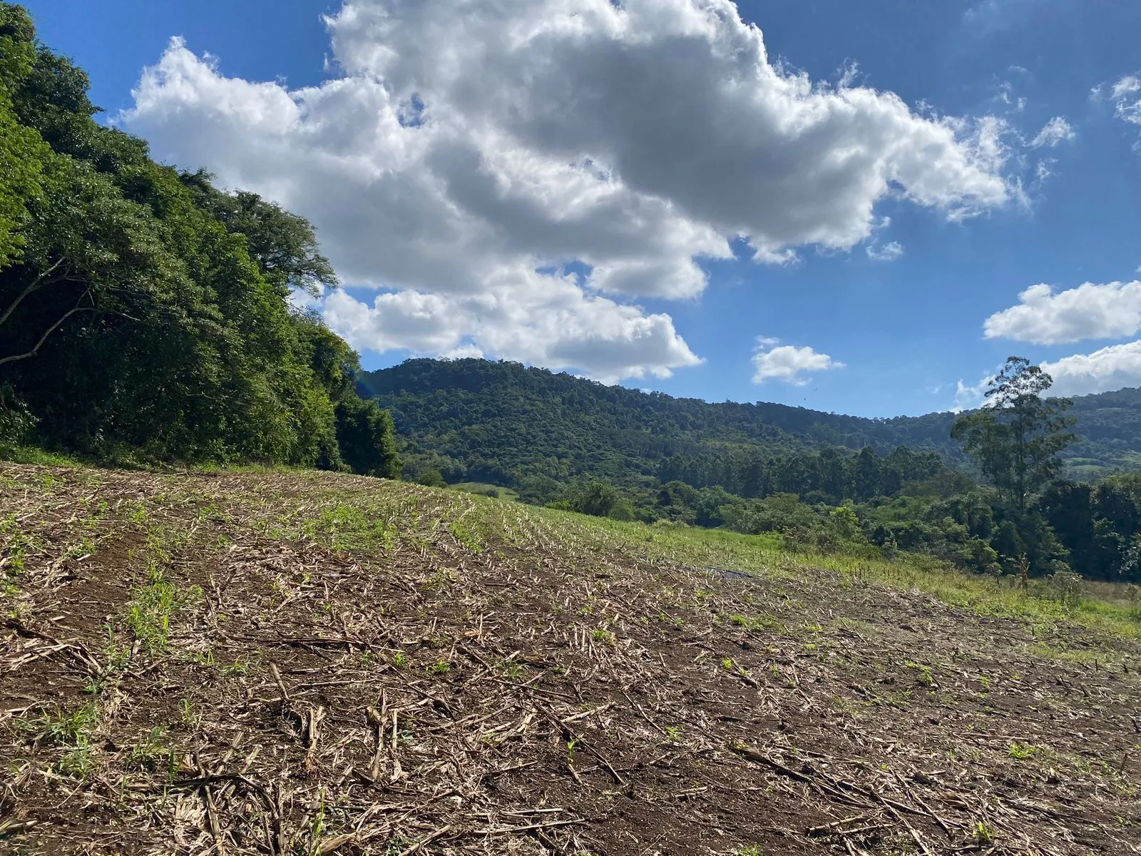 Imagem Área Rural em Capela do Rosário