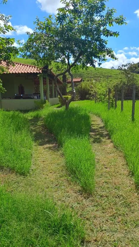 Imagem Vendo ótima chácara em Crucilândia com 7.000 m² de area
