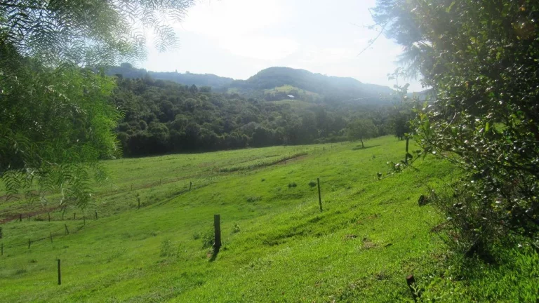 Imagem Área Agrícola para Venda em Concórdia, Interior
