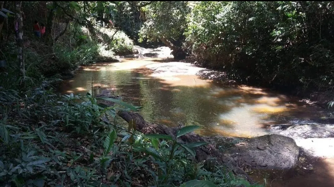 Imagem Chácara à venda 4 Quartos, 4 Suites, 1452000M², Zona Rural, Salesópolis - SP