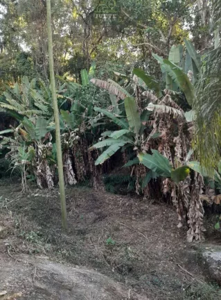 Imagem Chácara a venda no Bairro Moquem em Socorro-SP, com escritura de parte ideal.
