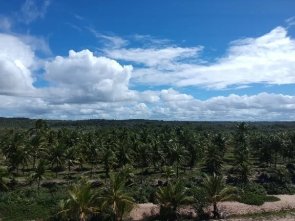 Imagem Paraíso frente mar