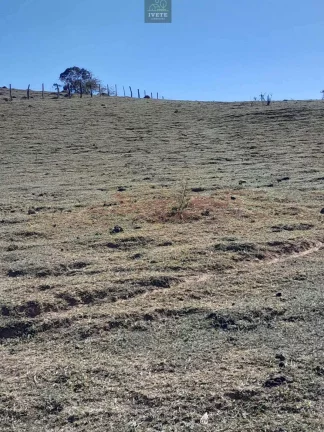 Imagem Terreno incrível para criação de animais e plantio