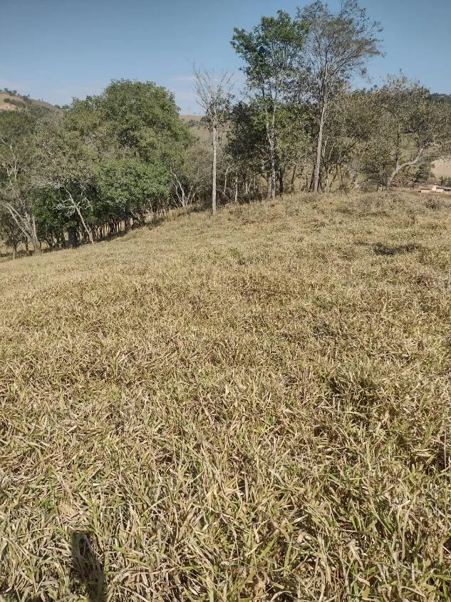 Imagem Terreno à Venda em Crucilândia 3 Hectares de terra