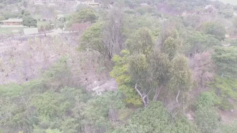 Imagem Sítio à venda, 3 quartos, 20 vagas, MUNIZ - Sabará/MG