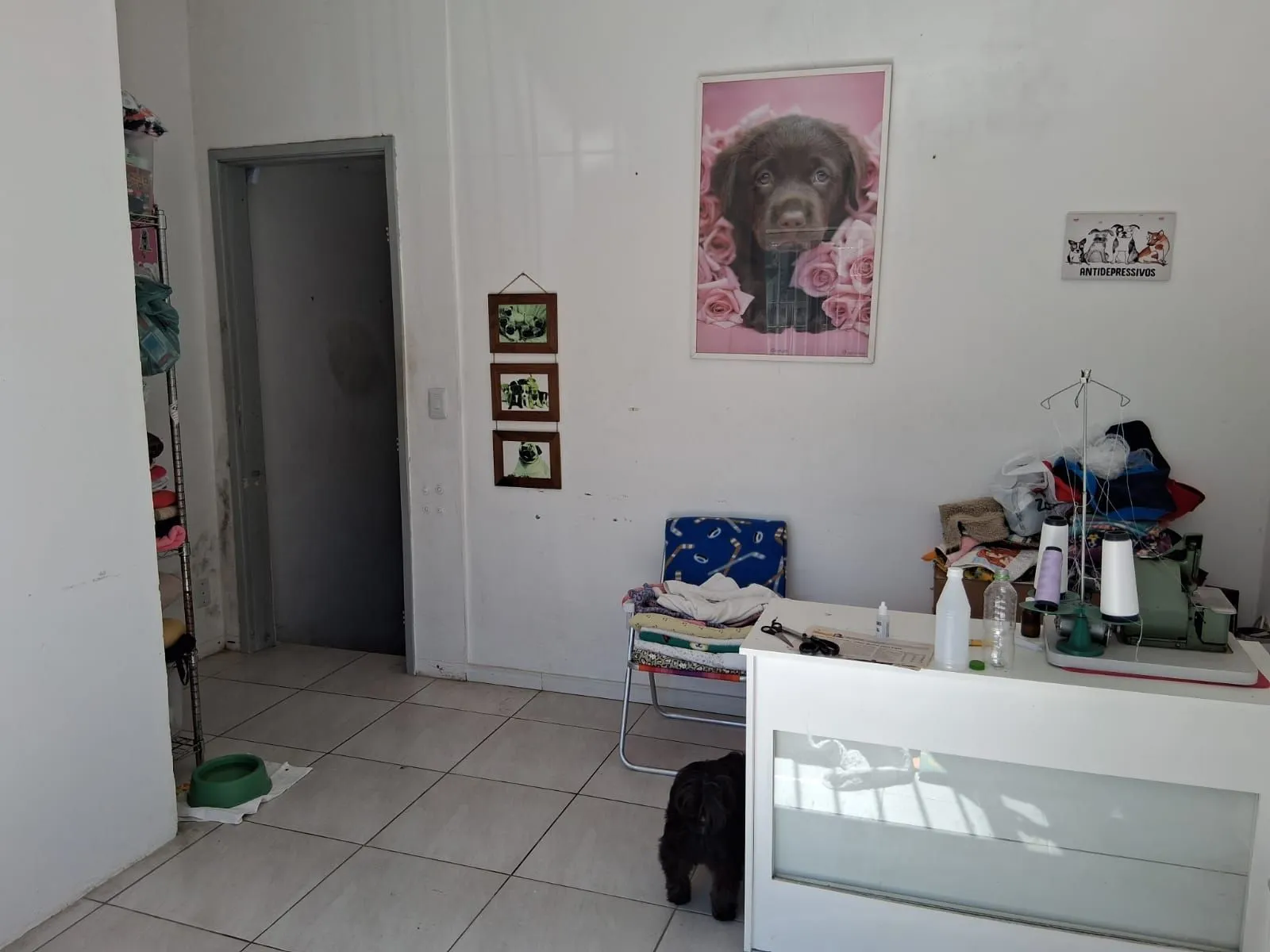 Imagem Pavilhão em Santana