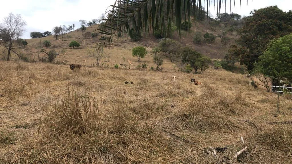 Imagem Sítio Maravilhoso à Venda em Bonfim/MG, com 9 hectares de terra