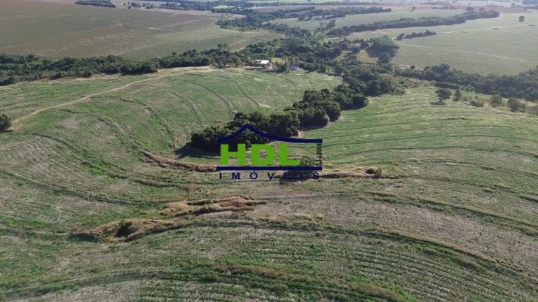 Imagem Fazenda Top 243 Ha alta produtividade em Piracanjuba GO