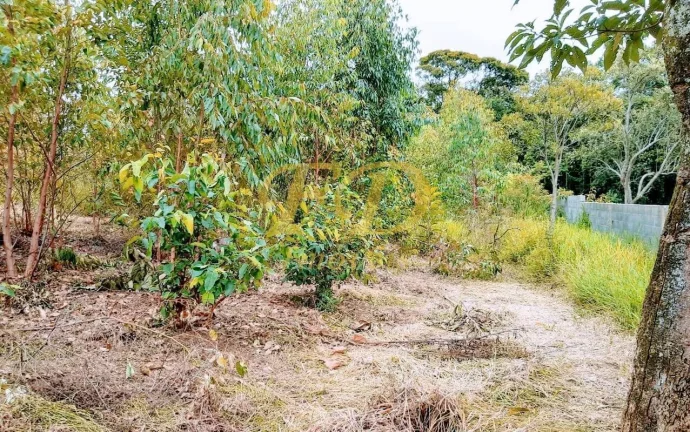 Imagem Chácara em Terra Preta - Mairiporã