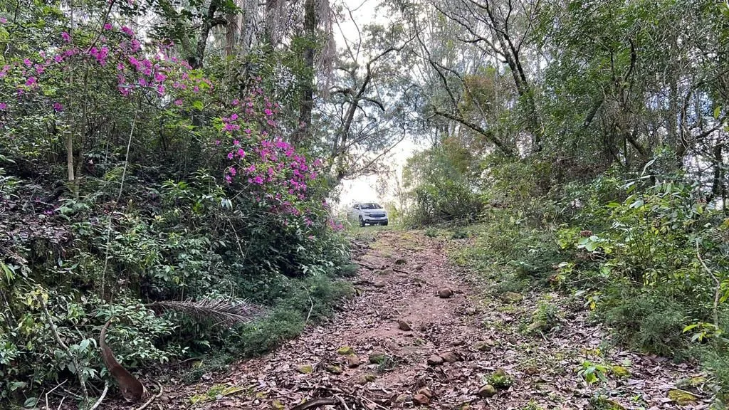 Imagem Chácara à venda em Gramado, Centro, 20000m2