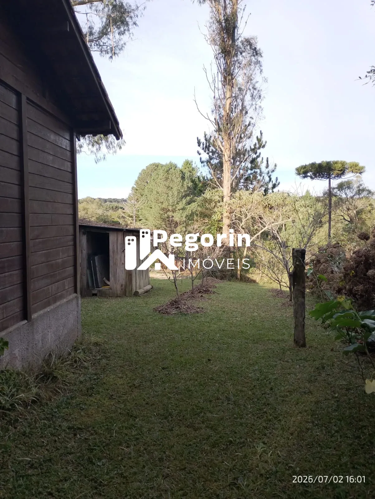 Imagem CHACARA 2.000M² PIRAQUARA PROXIMO A BR 277