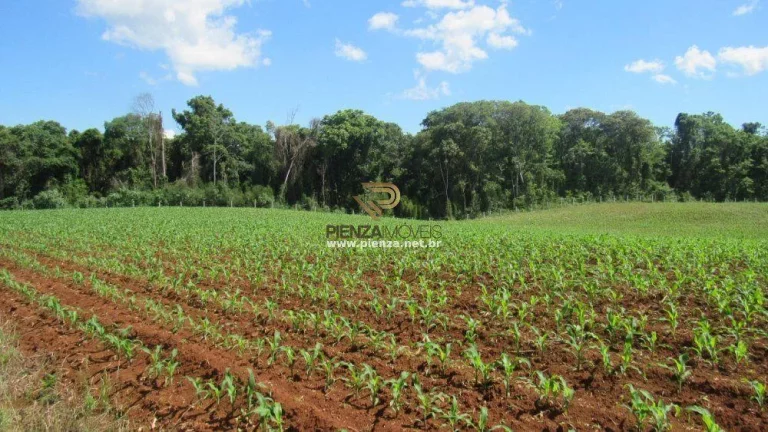 Imagem Área para Loteamento para Venda em Concórdia, São Cristóvão
