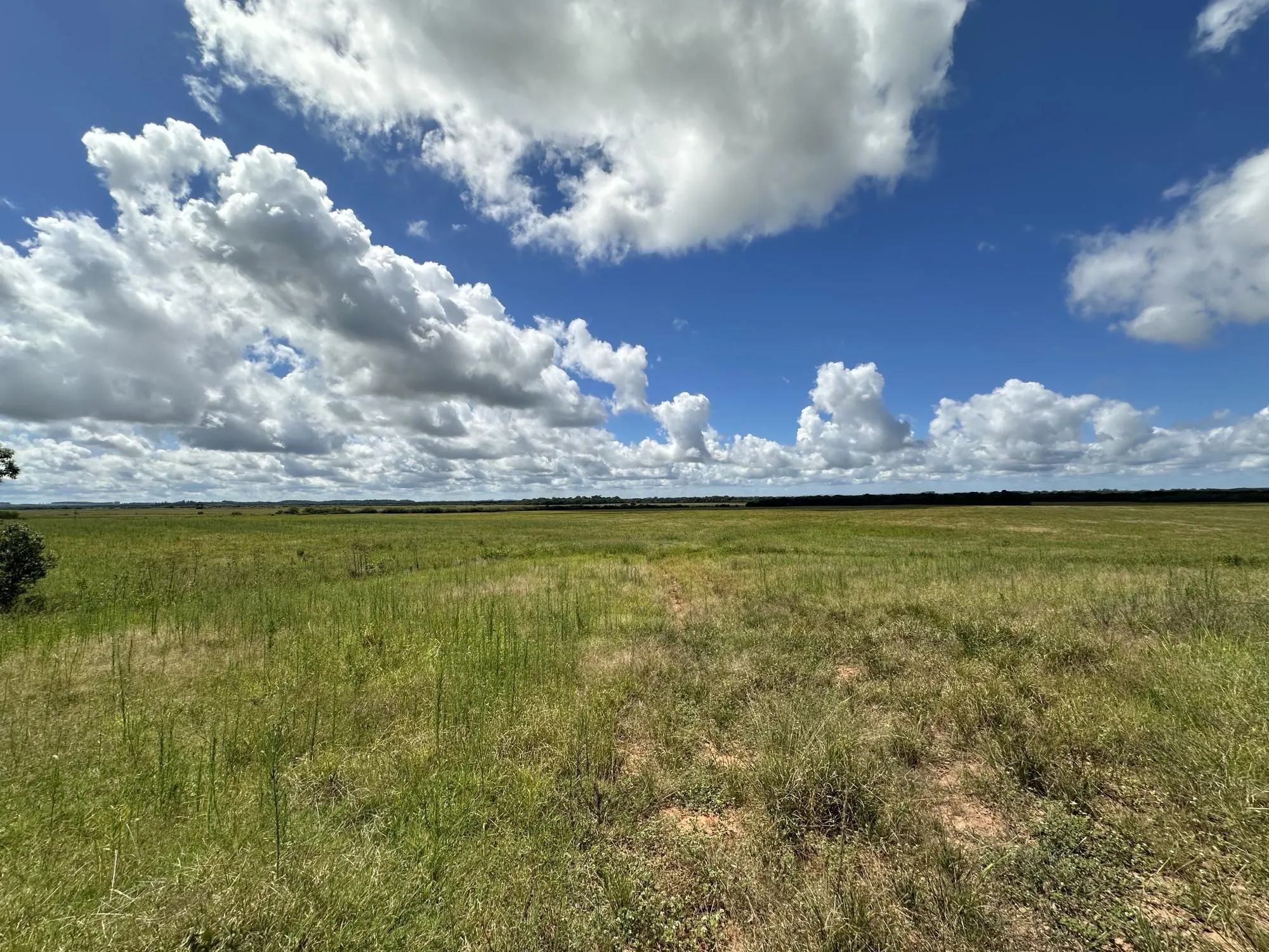 Imagem Fazenda à venda no Vale Verde - RS - 433 hectares. Ideal para Arroz e Soja.