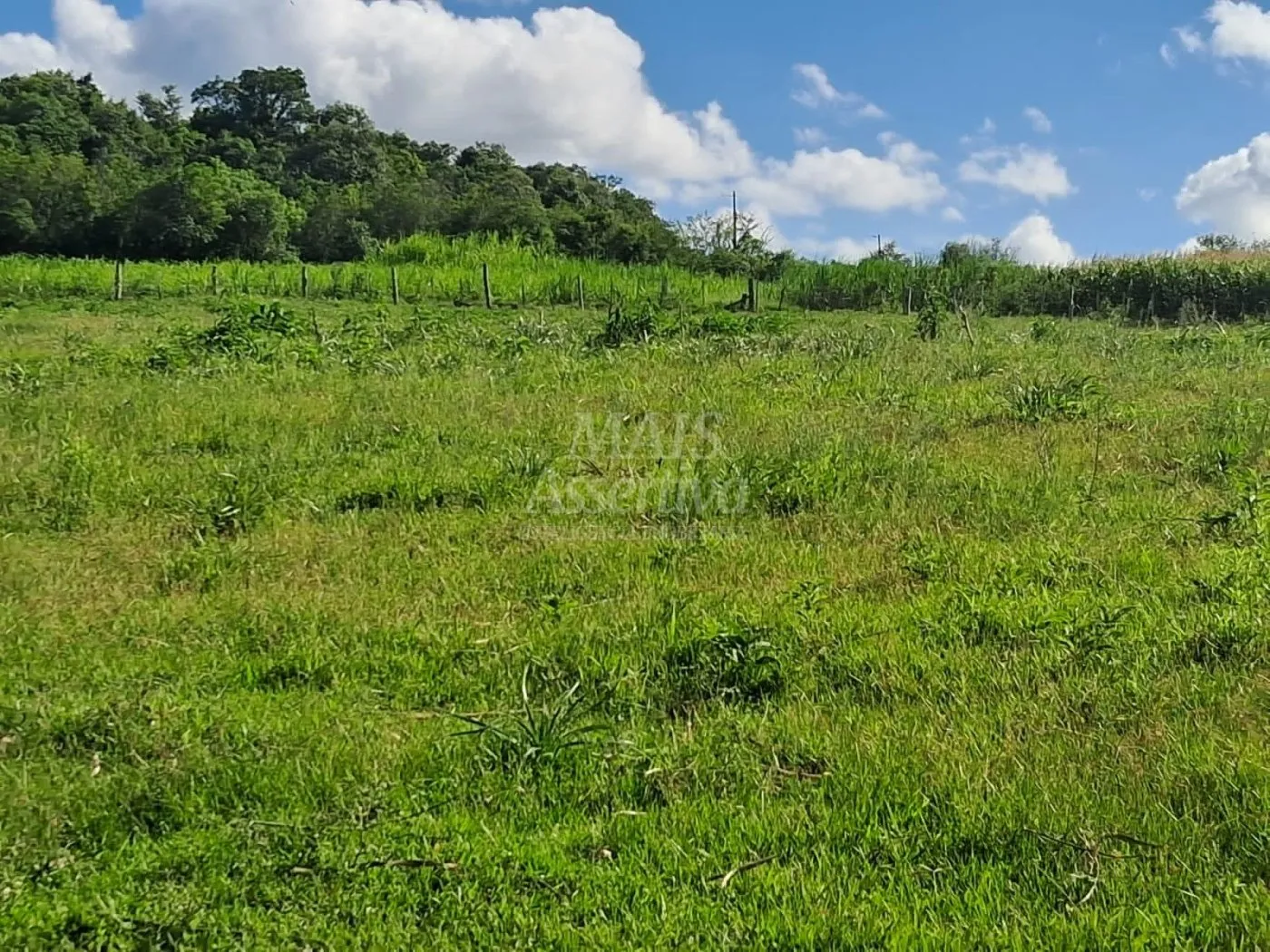 Imagem Área de Terras à venda, localizada em Taquara, ótima para plantação ou criação