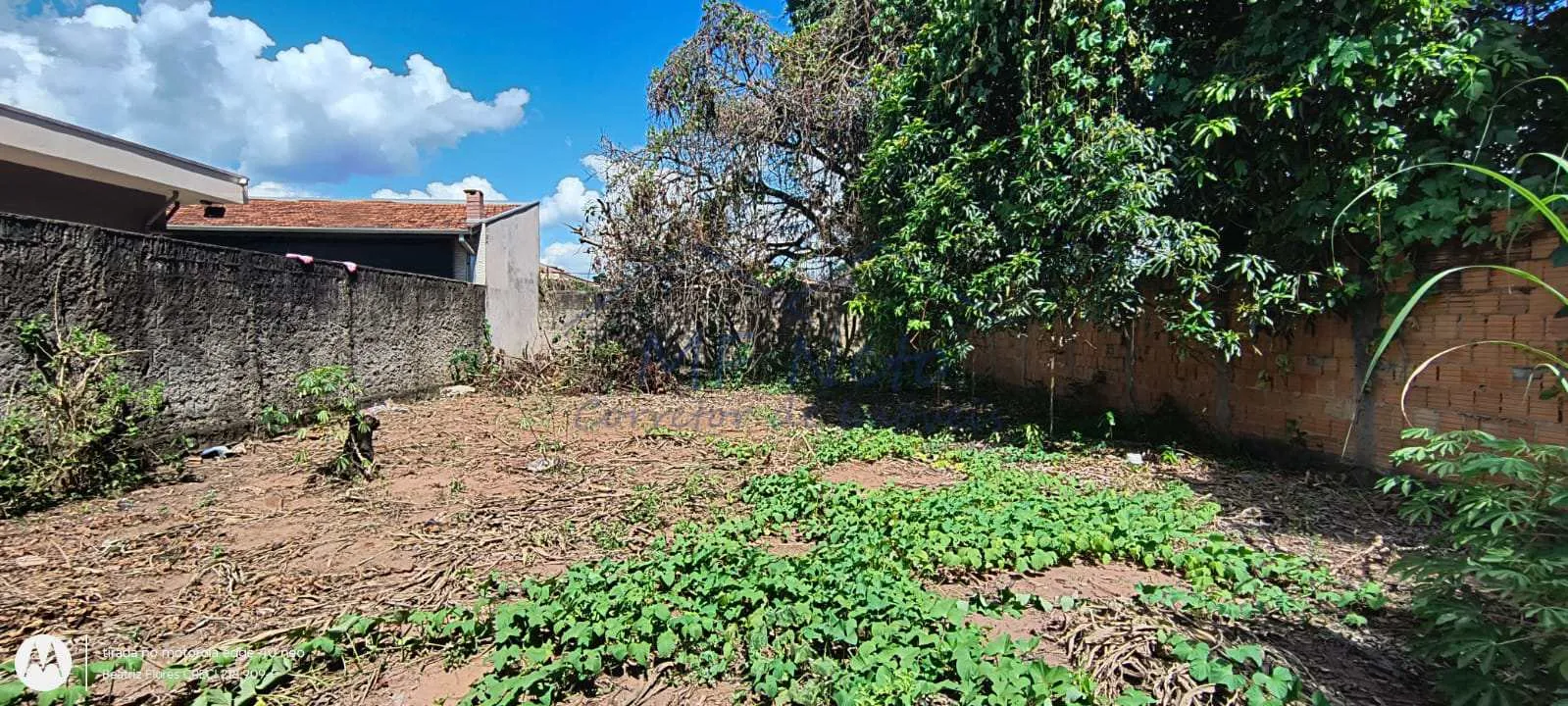 Imagem Terreno Padrão