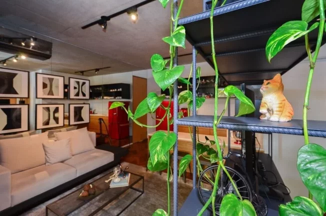 Imagem Apartamento à Venda Na Vila Mariana Com 1 Dormitório e 1 Vaga - Tipo Studio