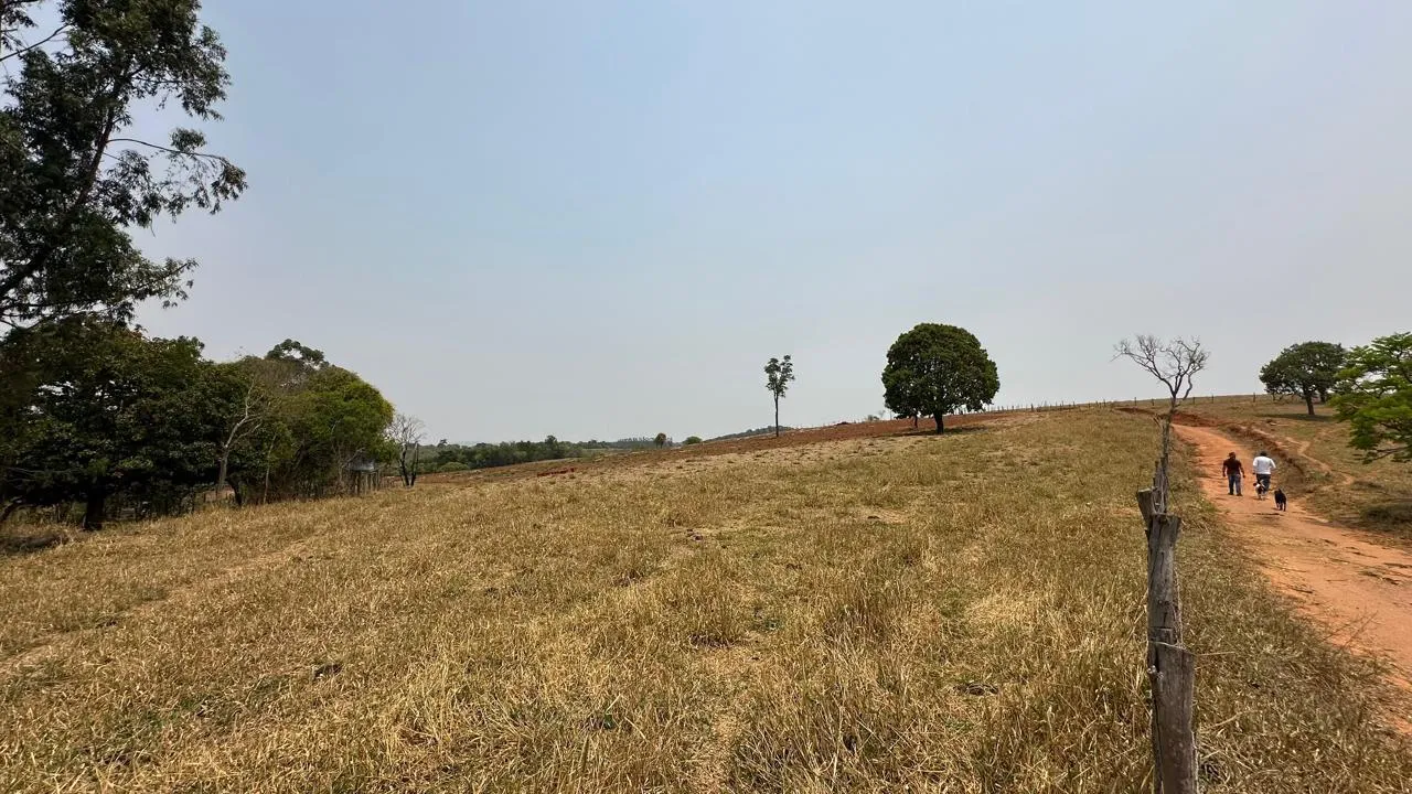 Imagem FAZENDINHA À VENDA - PASSA TEMPO (MG) 51 hectares de terra