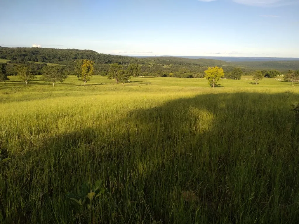 Imagem Fazenda de Rio Negro Mato Grosso do Sul-MS, Farms for sale in Brazil, farms in Brazil, Brazil farms