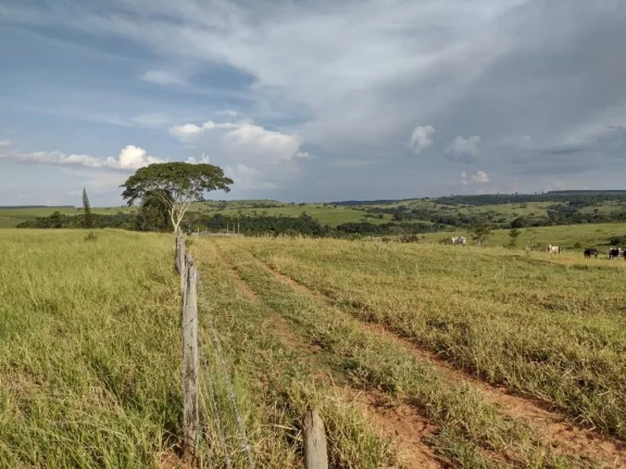 Imagem Sítio a VENDA, Avaí/SP, Área Rural, 10 alqueires