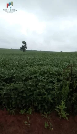 Imagem Fazenda região Itapetininga SP