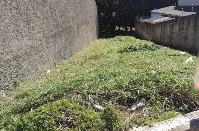 Imagem TERRENO TRAV DA AV NOVA IPANEMA