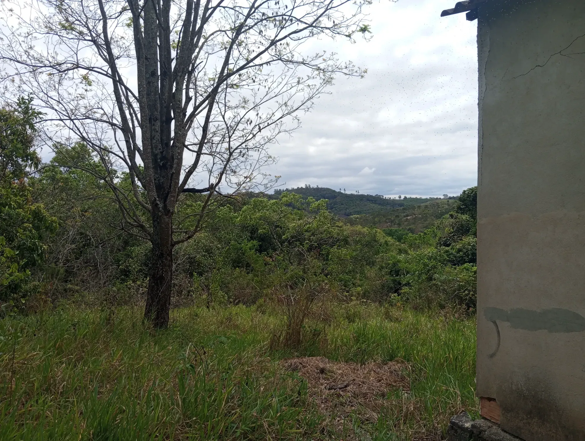 Imagem Chácara com 2 Quartos à Venda, 34.000 m² em Ravena - Sabará