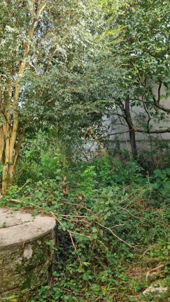 Imagem Terreno à venda Iguaçu Fazenda Rio Grande PR