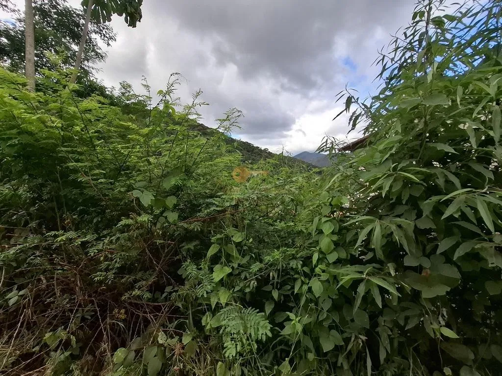 Imagem Terreno para Venda em Teresópolis / RJ no bairro Albuquerque