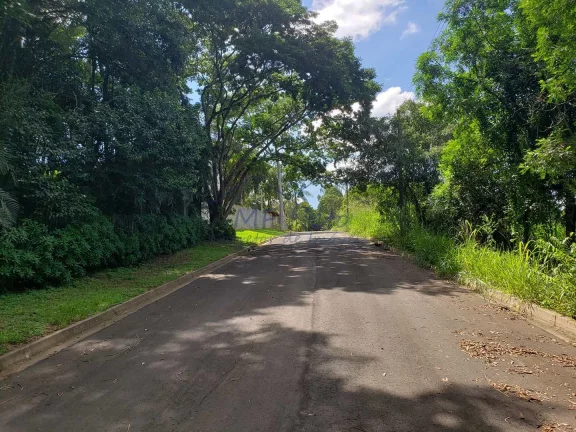 Imagem Terreno Padrão