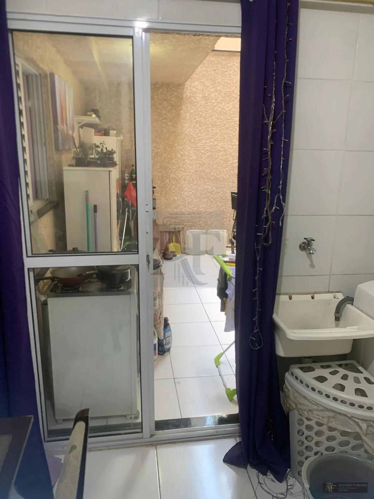 Imagem Apartamento à venda em Quinta da Paineira, São Paulo