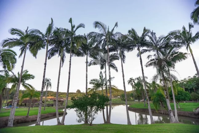 Imagem Chácara | Guaramirim (Tibagi) | 158.500m²