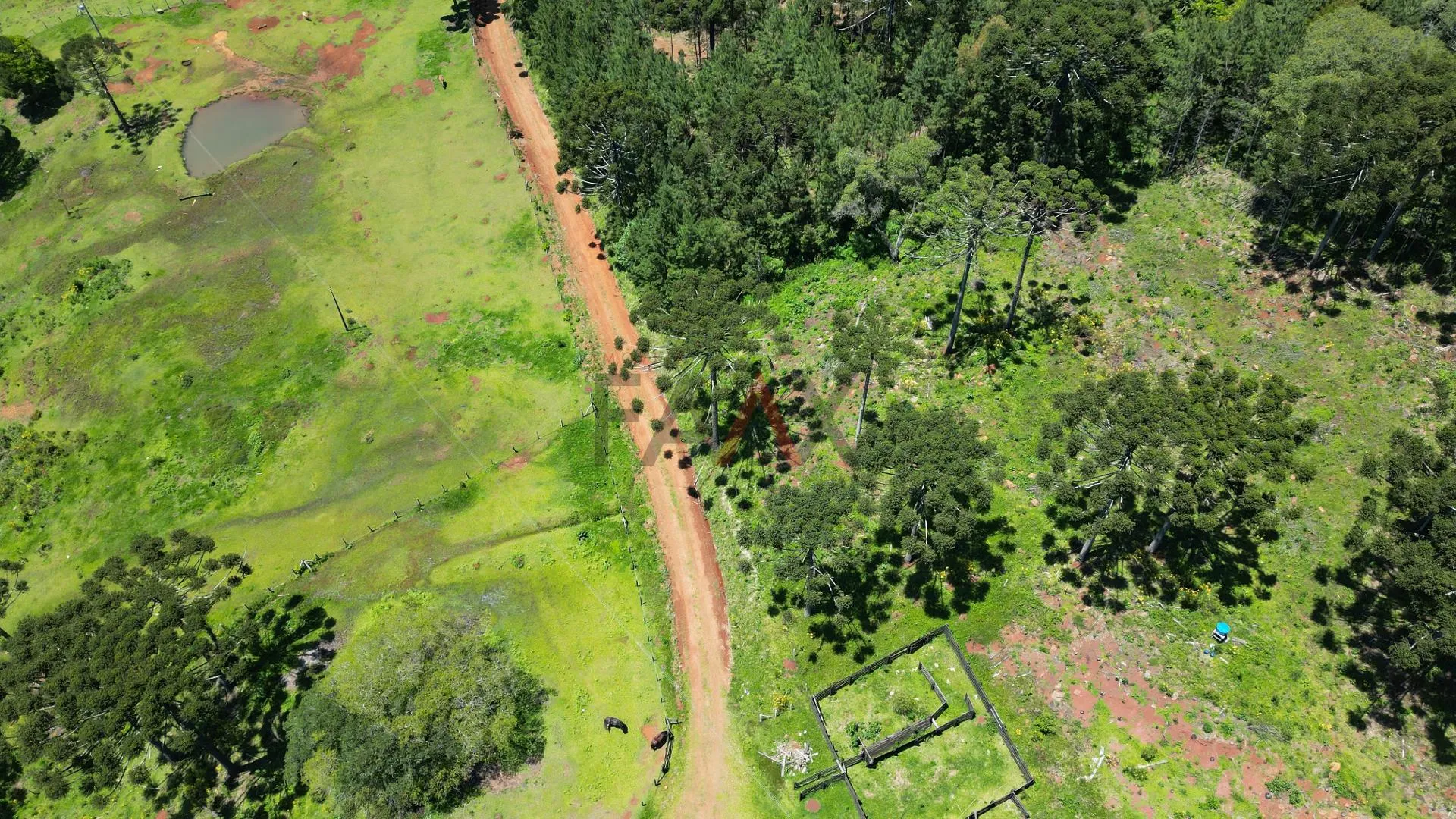 Imagem CHACARA A VENDA NO DISTRITO DO GUAIRACA, GUARAPUAVA - PR